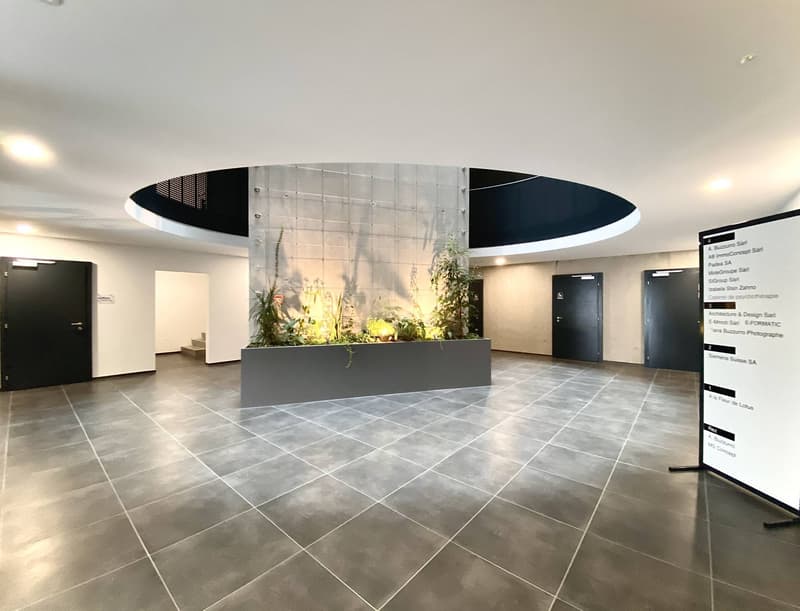 Atelier, laboratoire, locaux neufs de 300 m2 à louer à 10 minutes de Fribourg (5)