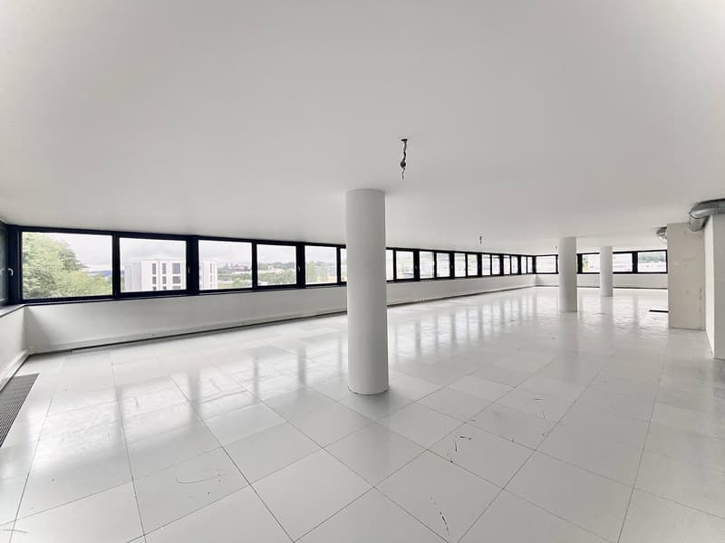 Atelier, laboratoire, locaux neufs de 300 m2 à louer à 10 minutes de Fribourg (4)