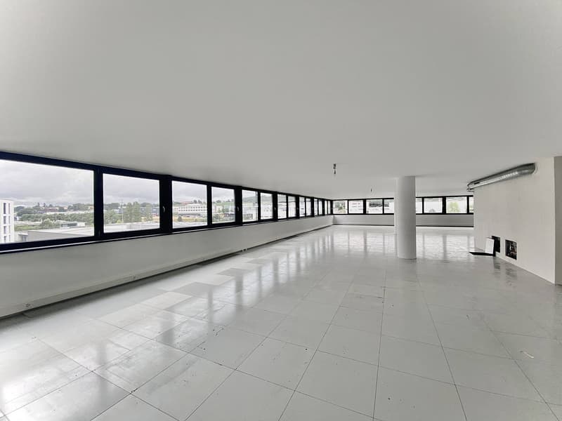 Atelier, laboratoire, locaux neufs de 300 m2 à louer à 10 minutes de Fribourg (6)