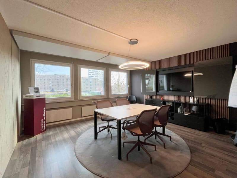 Local commercial, showroom, dépôt de 490 m2 à louer au Mont sur Lausanne (4)