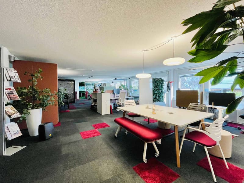 Atelier, bureaux et stockage de 490 m2 - Accessibilité optimale (2)