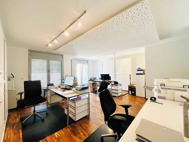 Bureaux traversants de 90 m² avec vue sur le Lac Léman et spacieuse terrasse (4)