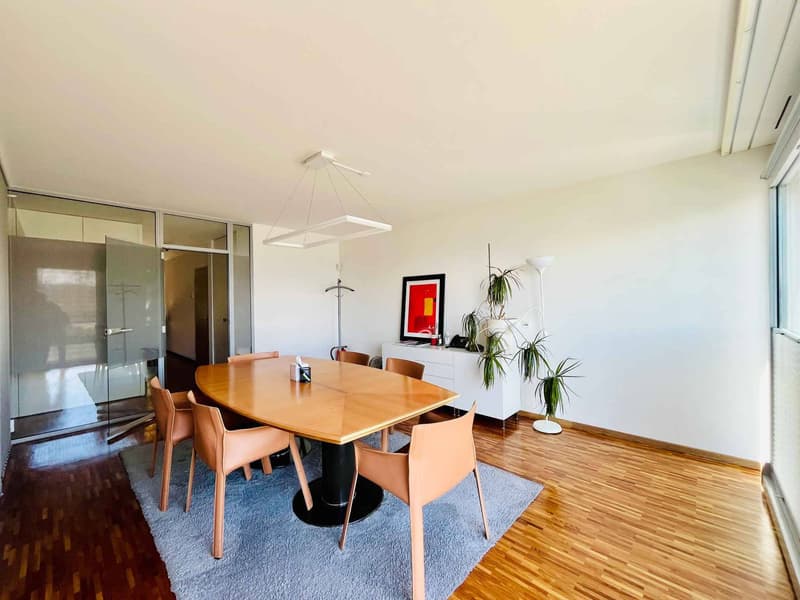 Bureaux traversants de 90 m² avec vue sur le Lac Léman et spacieuse terrasse (3)