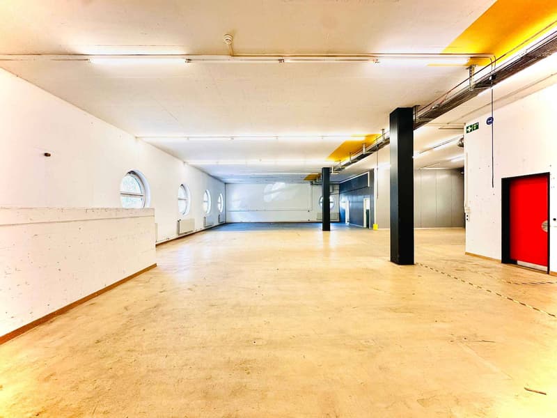Lausanne : Espace industriel et commercial au RDC (5)