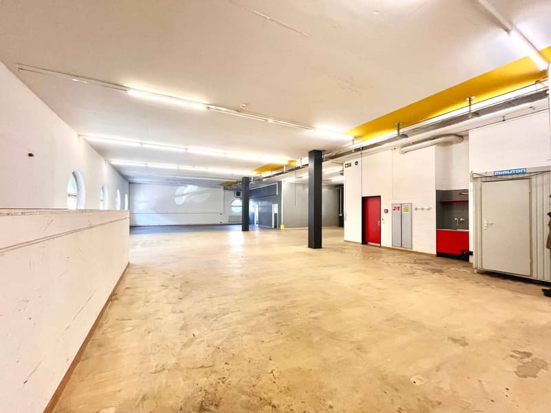Lausanne : Espace industriel et commercial au RDC (3)