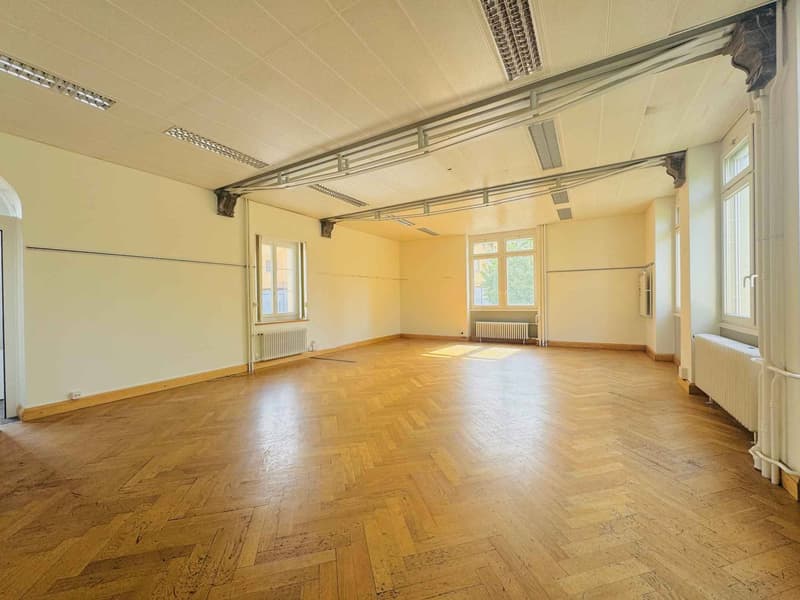 Immeuble commercial de prestige à louer (5)
