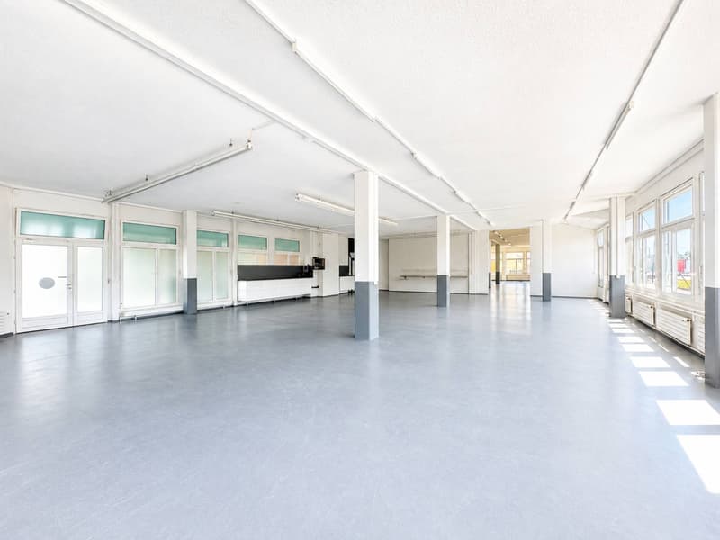 BUSSIGNY 700 m2 - SURFACE COMMERCIALE & INDUSTRIELLE (2)