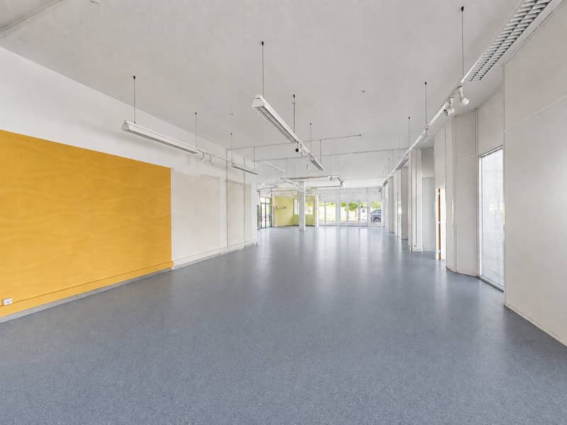 GRAND-LAUSANNE - SURFACE COMMERCIALE & INDUSTRIELLE (3)