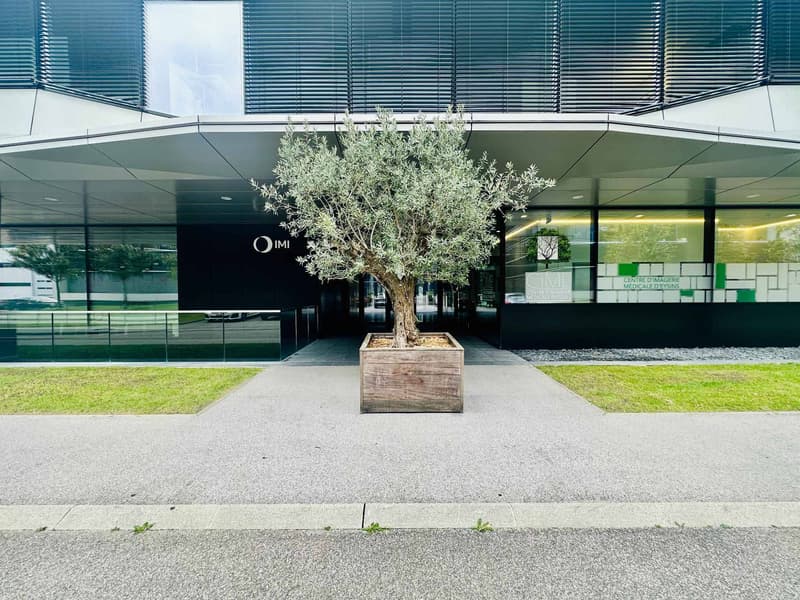 EXCLUSIF Bureaux Plug & Play de haut standing (7)