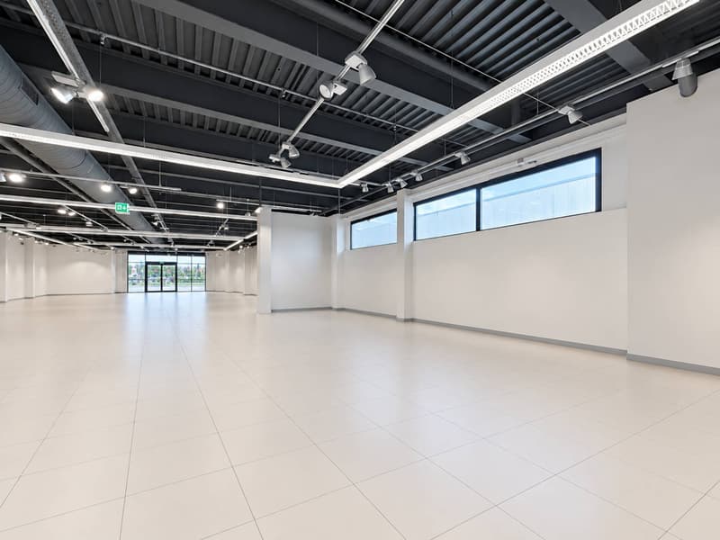 LOCAL COMMERCIAL 946 M² - EXCELLENTE VISIBILITE (4)
