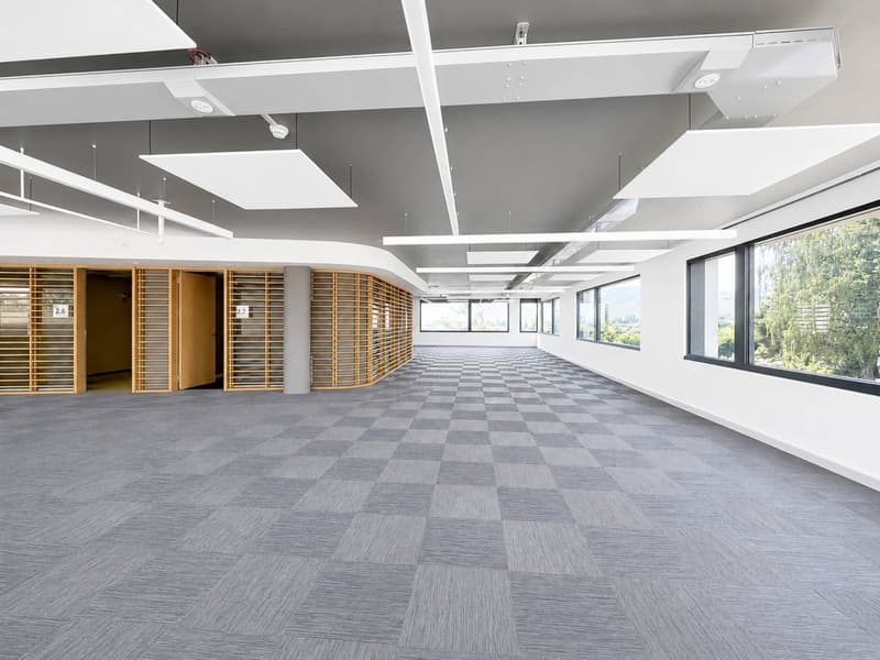 LAKE CENTRE - Votre nouvel espace de travail (3)