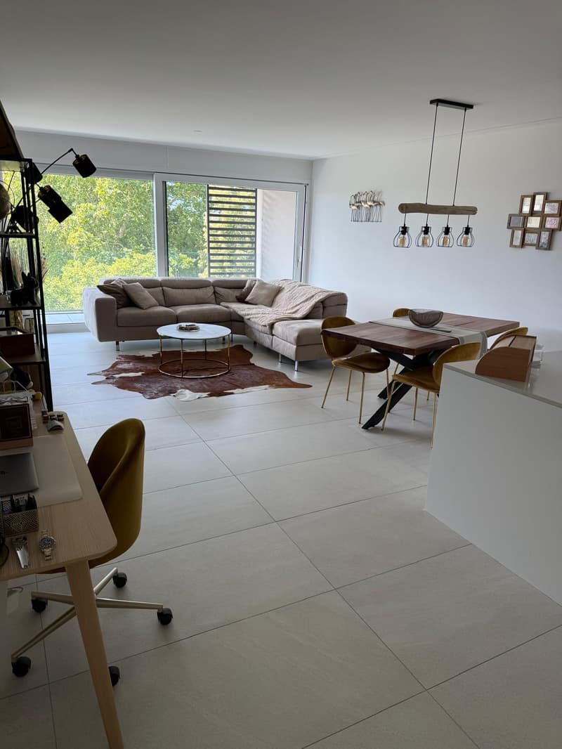 Appartamento di 72 m² con ampia terrazza e splendida vista lago a Minusio (3)