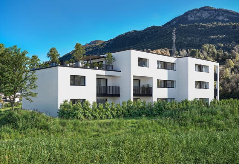 3.5 pièces avec jardin privatif  - plus de 110m2 ! (3)
