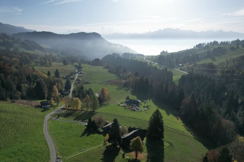 Magnifique chalet (5)