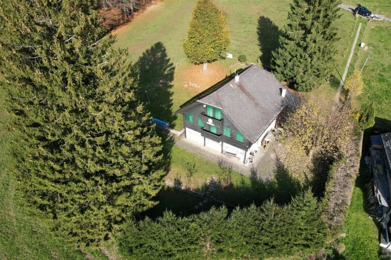 Magnifique chalet (18)