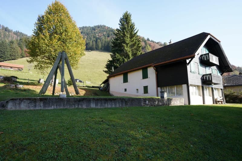 Magnifique chalet (3)