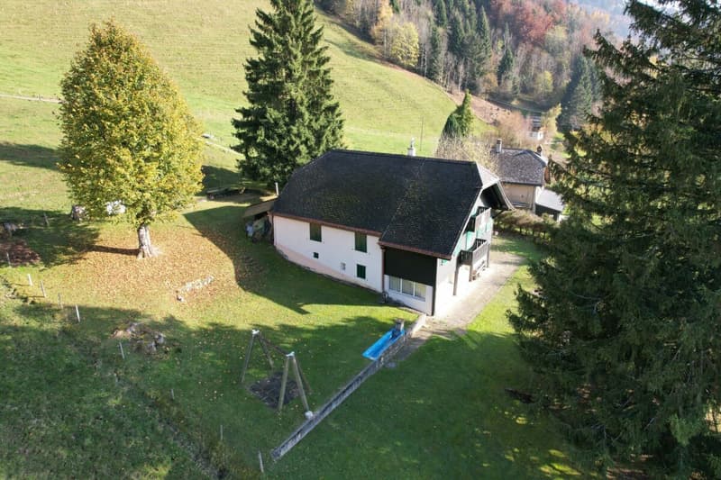 Magnifique chalet (7)