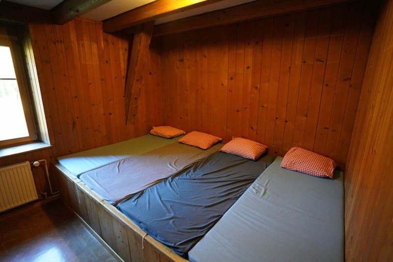 Magnifique chalet (14)