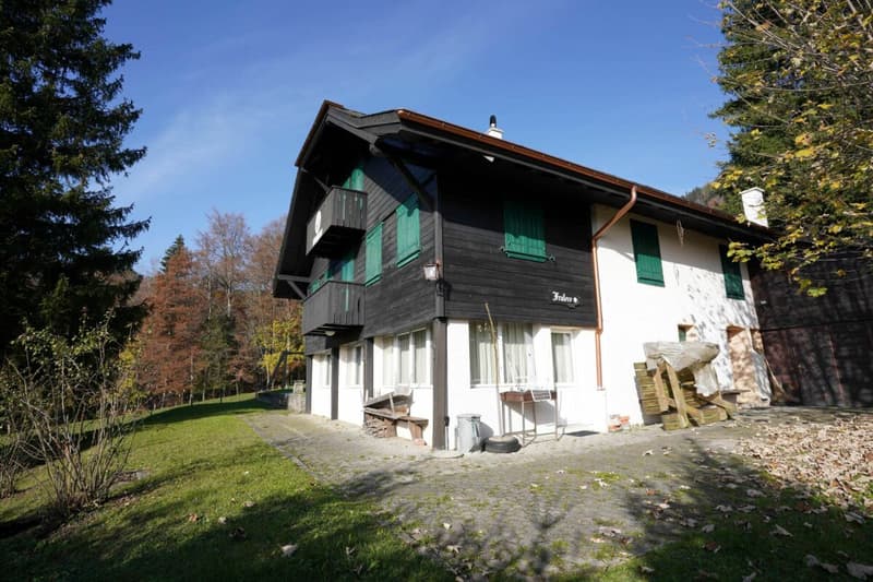 Magnifique chalet (9)
