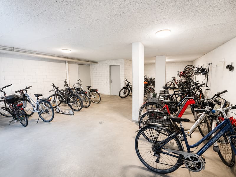 Wohnen in erster Seereihe – Exklusive 6.5-Zimmer-Attikawohnung mit unverbaubarer Bodenseesicht (30)