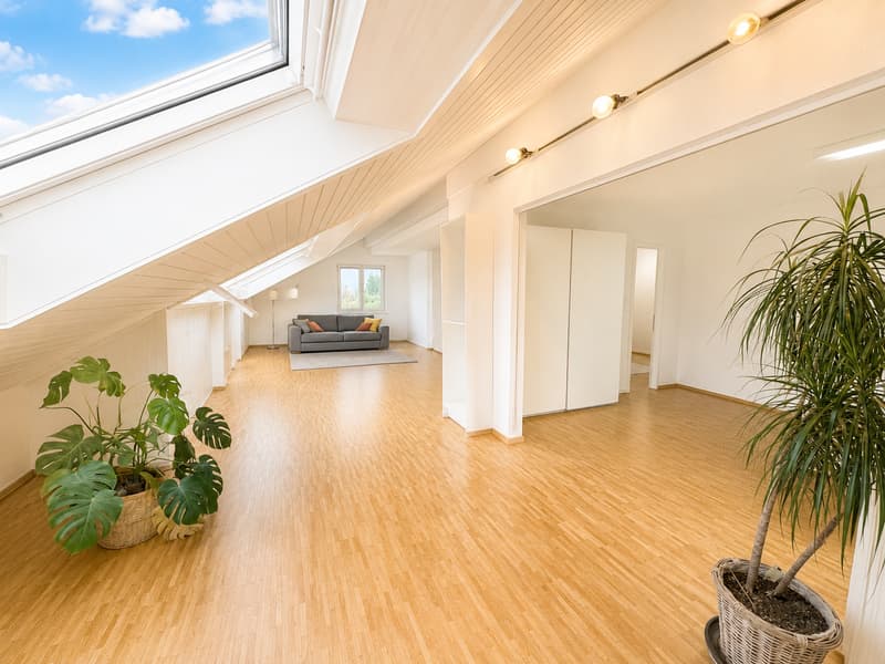 Wohnen in erster Seereihe – Exklusive 6.5-Zimmer-Attikawohnung mit unverbaubarer Bodenseesicht (7)