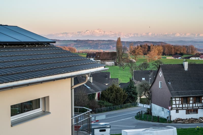Grosszügiges Neubauhaus mit Einliegerwohnung in Panoramalage – Helsighausen (TG) (8)