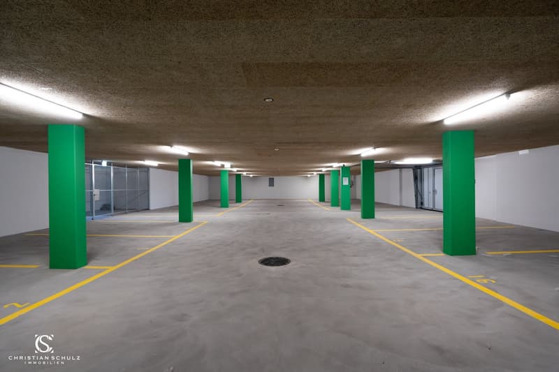 Grosszügiges Neubauhaus mit Einliegerwohnung in Panoramalage – Helsighausen (TG) (17)