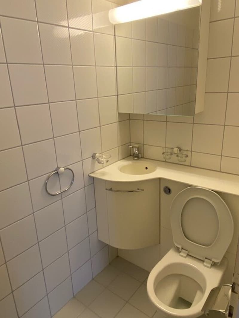 Gaeste_WC_NEU.jpg