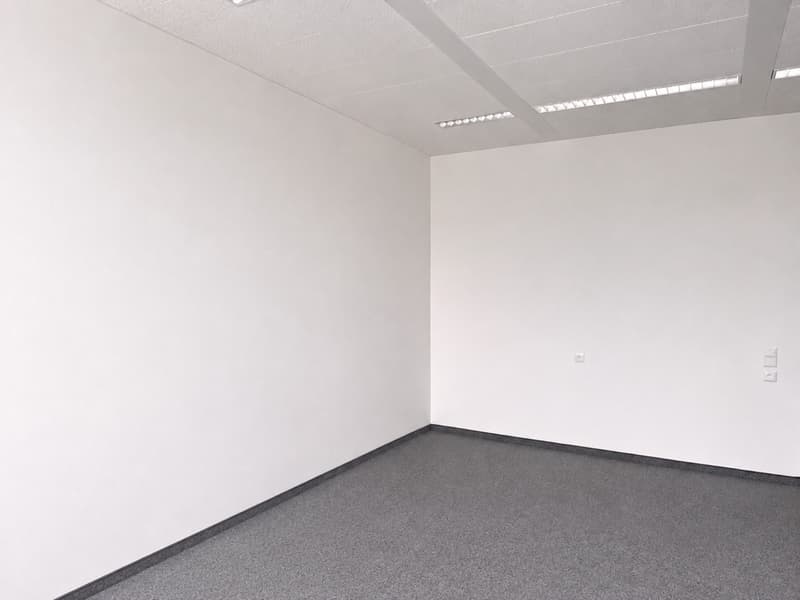 Bilder_unmoebliert_2.png