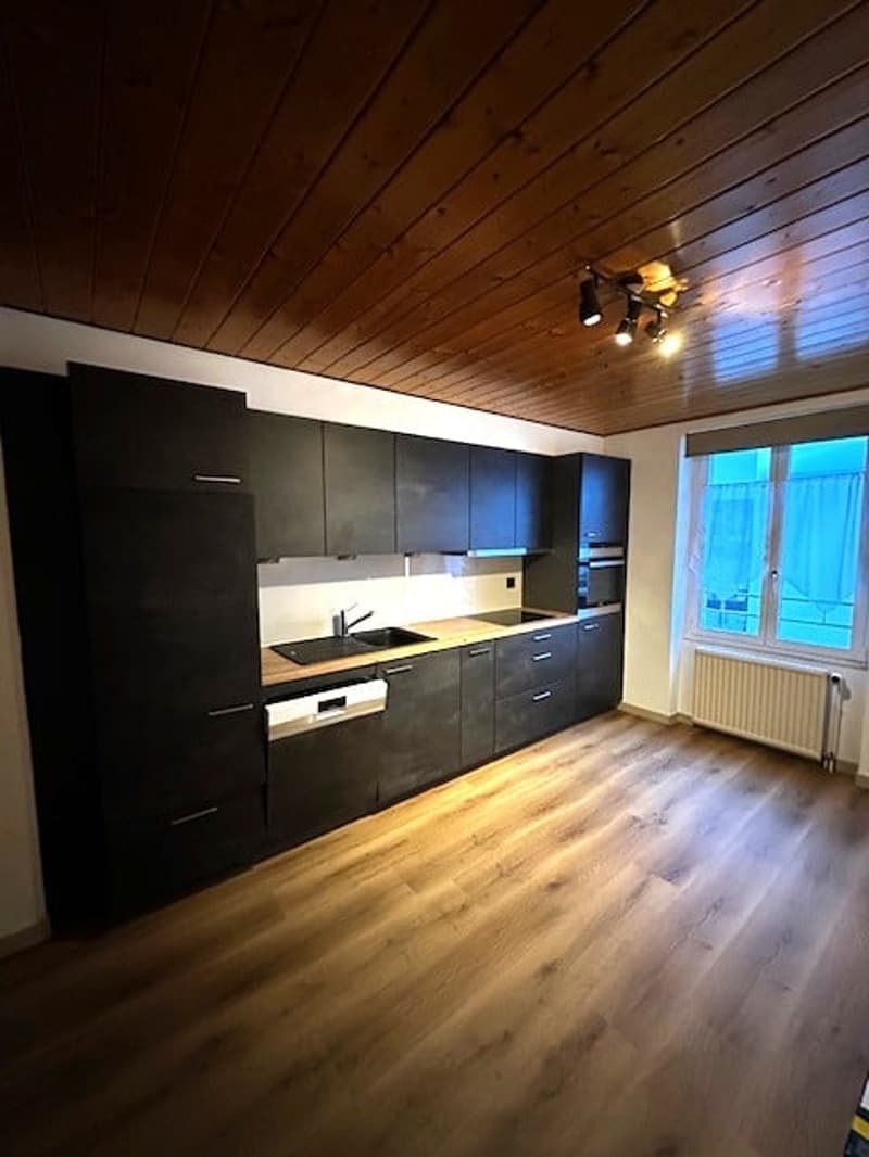 Empty kitchen with modern cabinetry, wooden floors, and built-in appliances including a dishwasher.