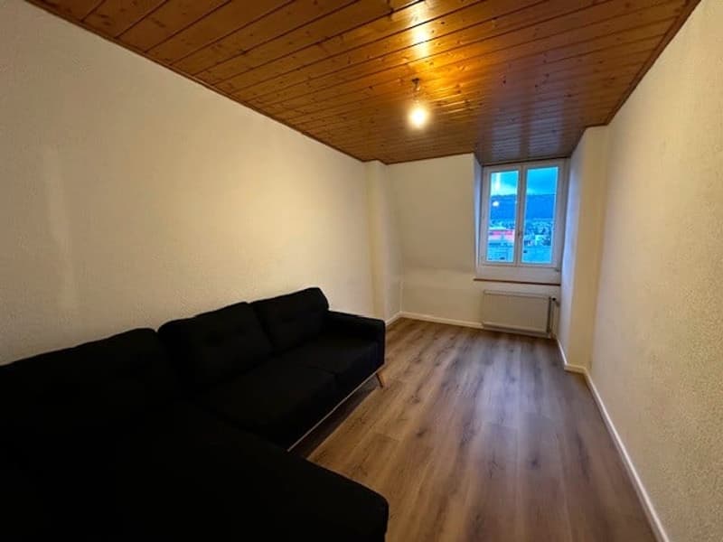 modern style, black sofa, wooden floor, wooden ceiling, white walls, radiator, large window, good view