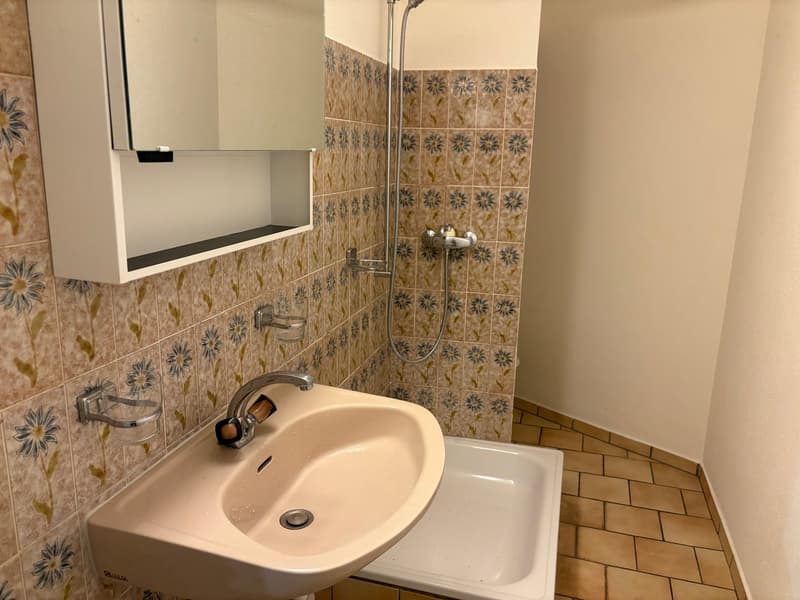 Bathroom with sink, shower, and small bath. Tiled floor and walls.