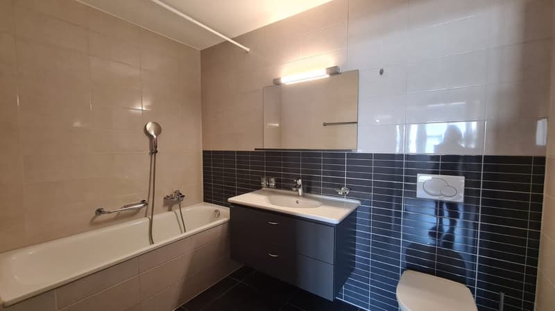 Magnifiques appartements de 5.5 pièces avec vue dégagée à Delémont (13)