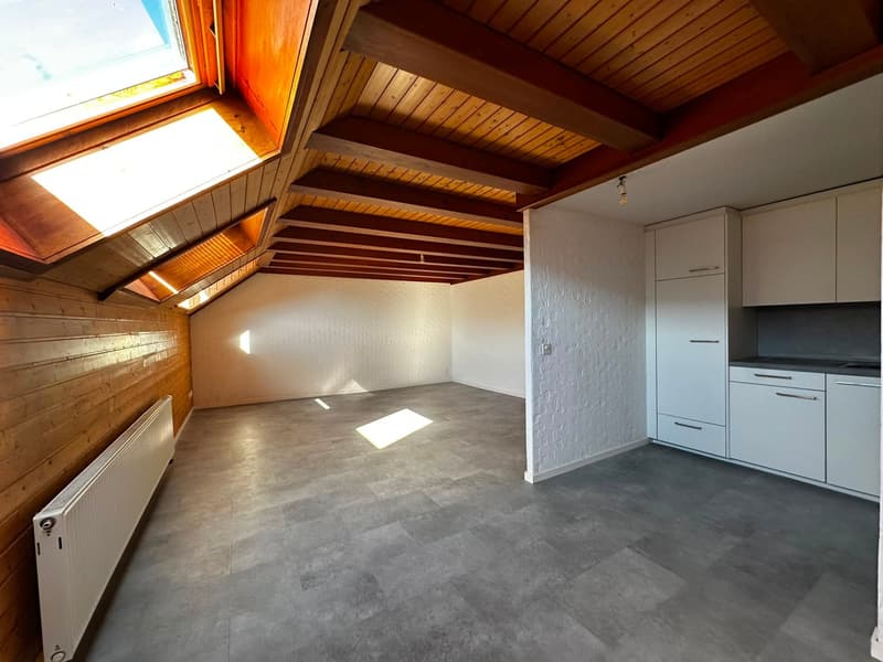 Joli logement de pièces au centre de Saint-Imier (3)