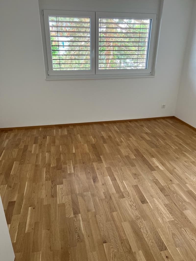 Spacieux appartement terrasse de 5.5 pièces à Porrentruy (7)