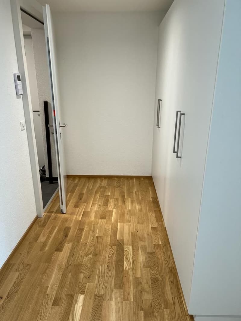Spacieux appartement terrasse de 5.5 pièces à Porrentruy (9)