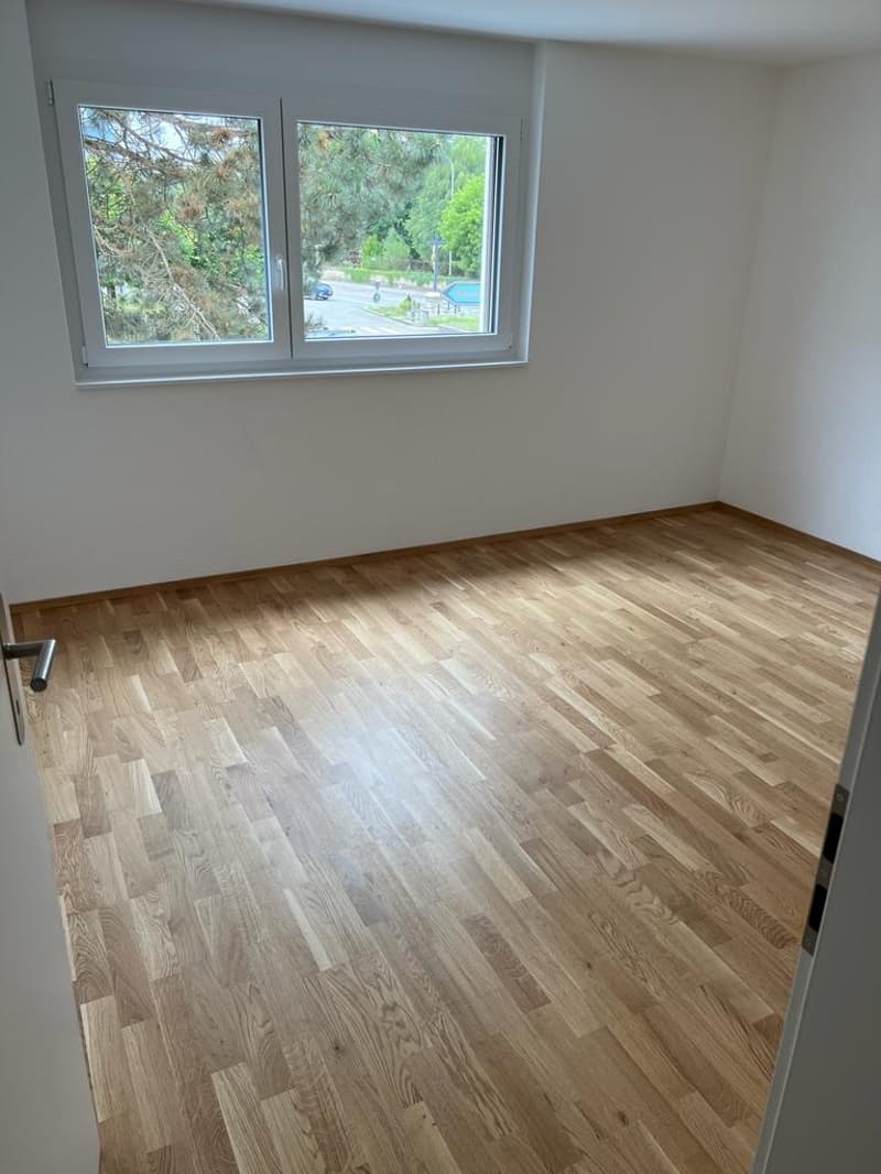 Spacieux appartement terrasse de 5.5 pièces à Porrentruy (8)