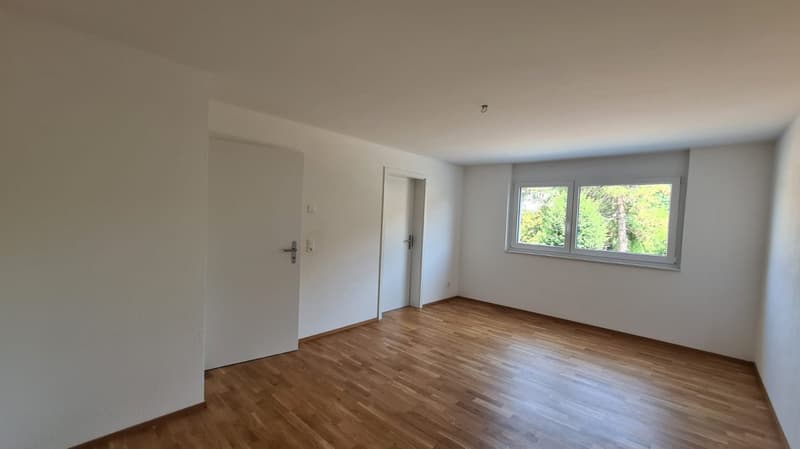Spacieux appartement terrasse de 5.5 pièces à Porrentruy (11)