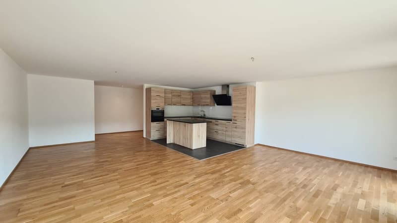 Spacieux appartement terrasse de 5.5 pièces à Porrentruy (1)