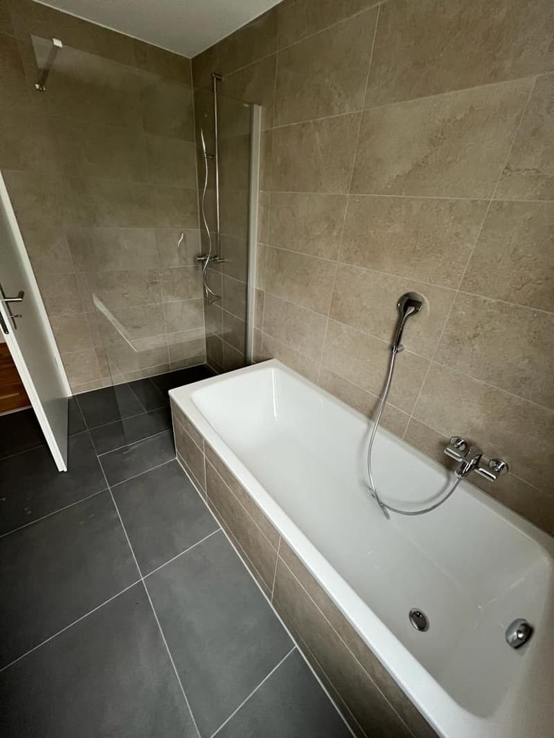 Spacieux appartement terrasse de 5.5 pièces à Porrentruy (10)