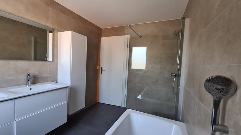Spacieux appartement terrasse de 5.5 pièces à Porrentruy (6)