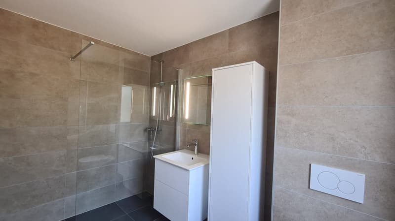 Spacieux appartement terrasse de 5.5 pièces à Porrentruy (12)
