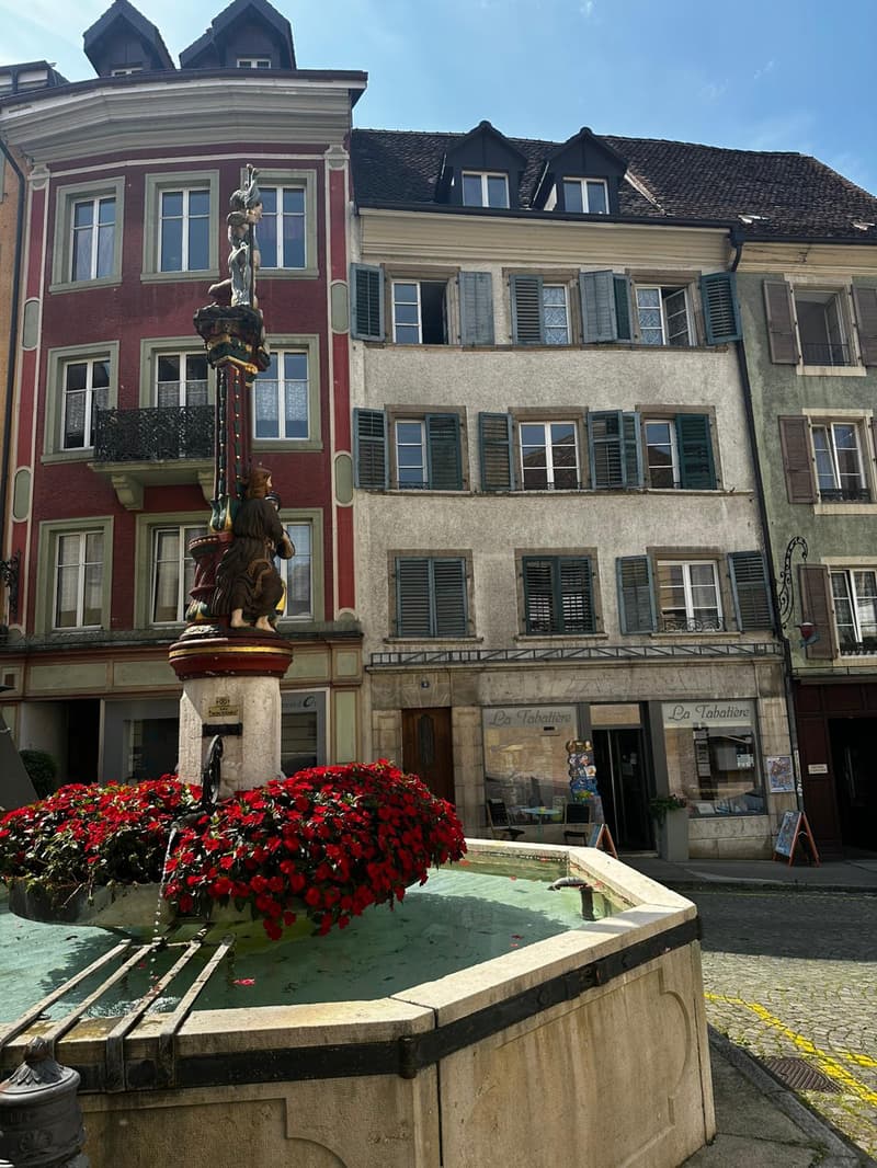 Appartement de 2 pièces à louer au cœur de Porrentruy (6)