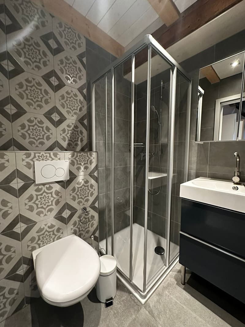 Beau 1.5 pièces meublé à louer à Delémont (6)
