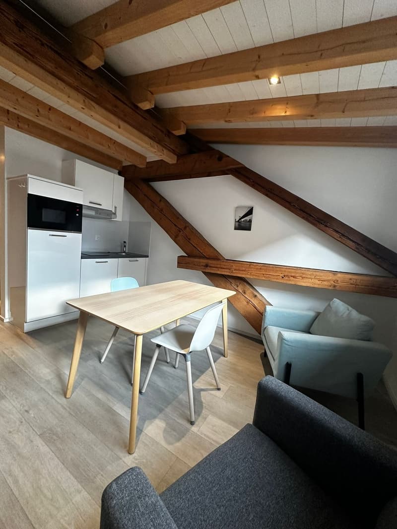 Beau 1.5 pièces meublé à louer à Delémont (3)
