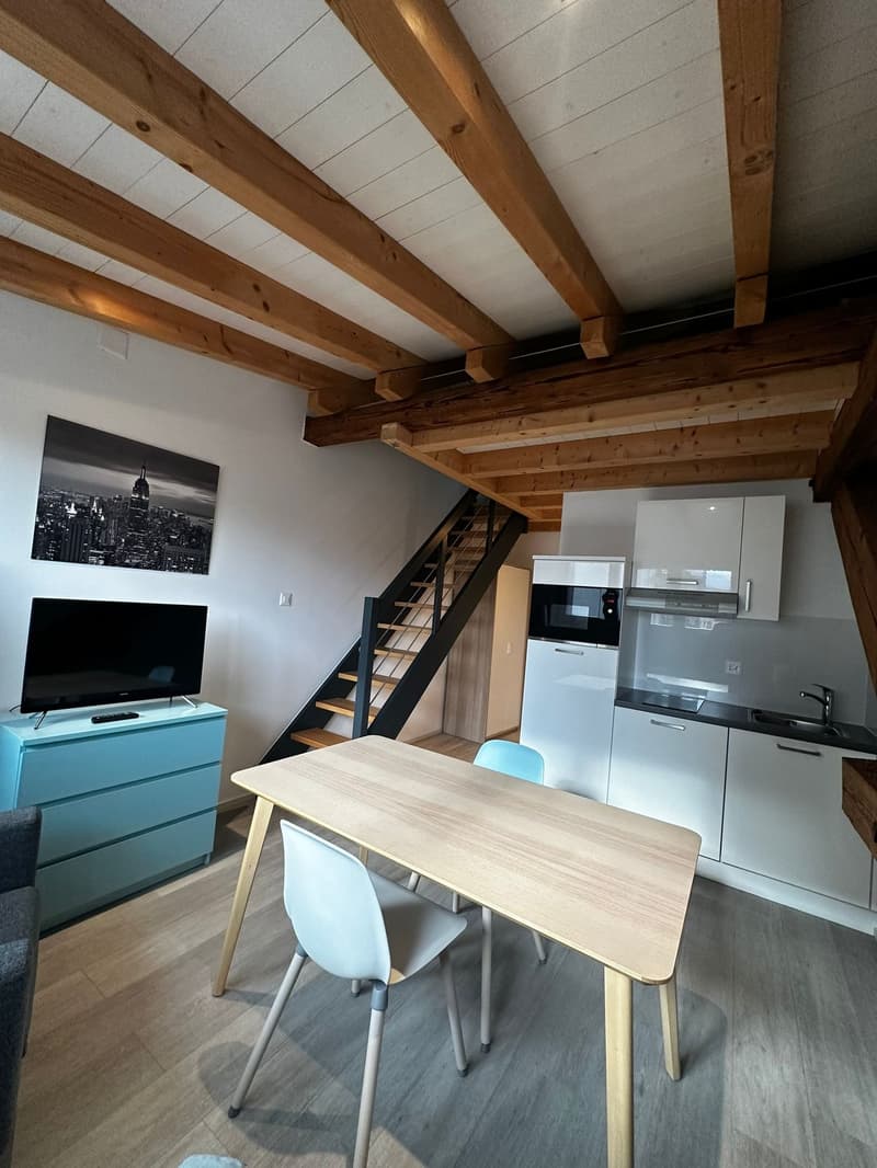 Beau 1.5 pièces meublé à louer à Delémont (4)
