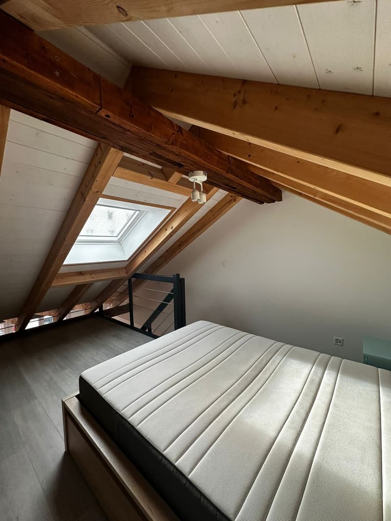 Beau 1.5 pièces meublé à louer à Delémont (8)