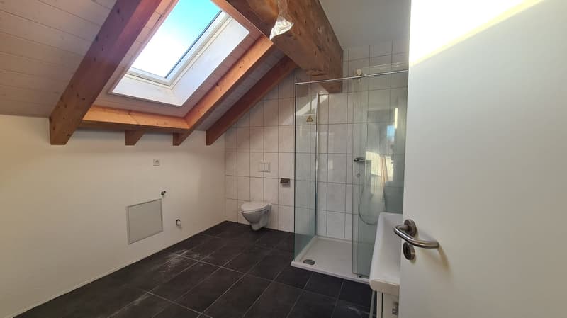 Appartement de 5.5 pièces à louer à Basse-Vendline (9)