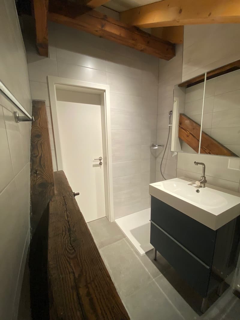 Joli studio meublé (4)