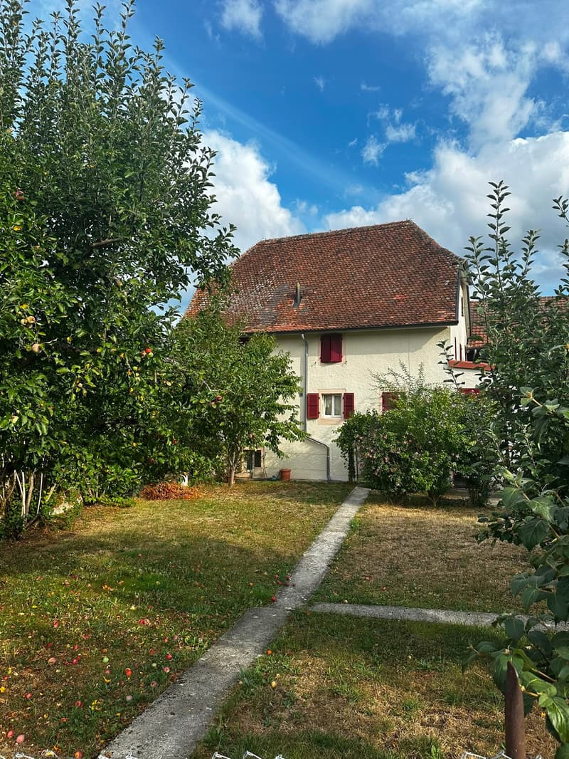 Maison individuelle de 7 pièces à louer à Haute-Sorne (1)